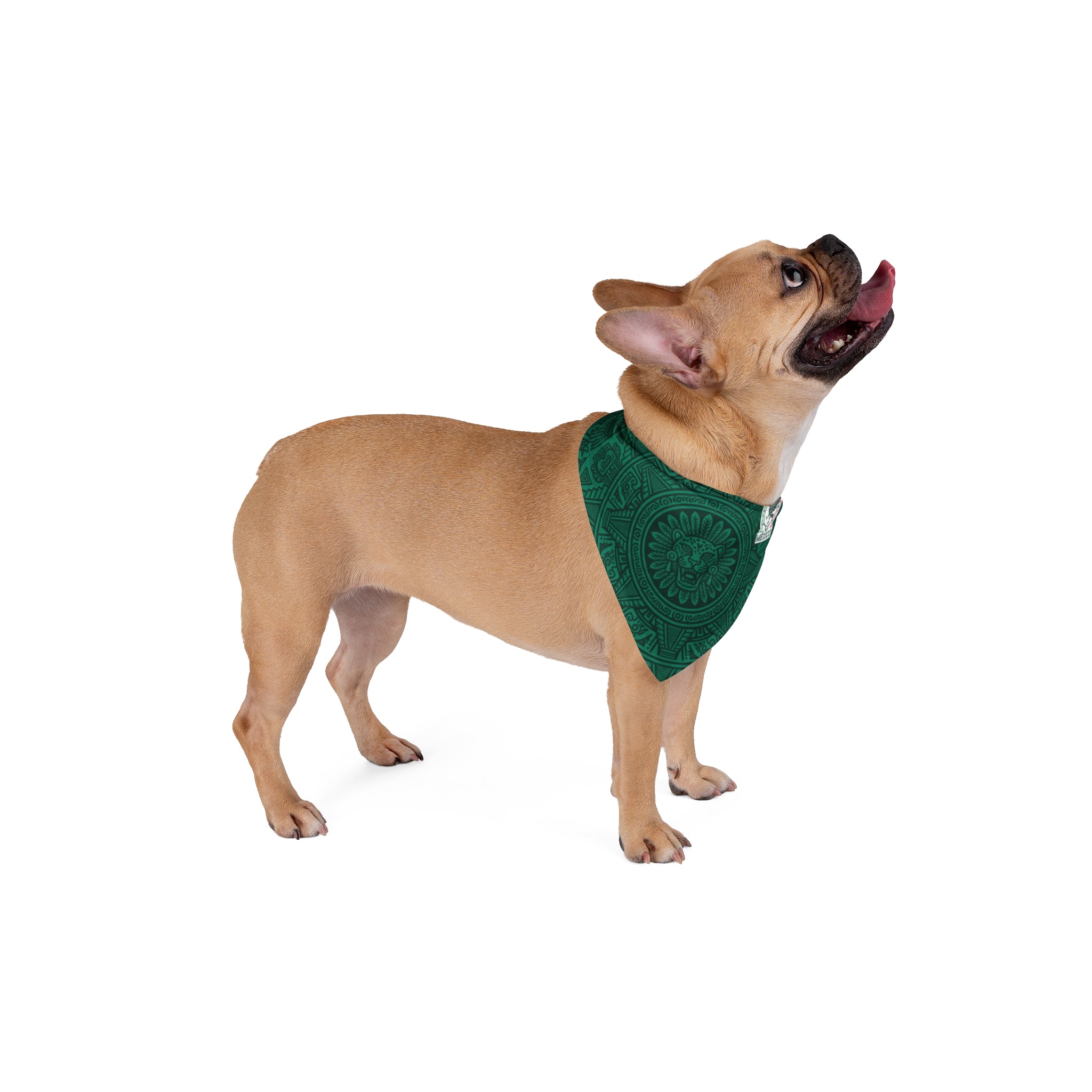 Mexico Soccer Pet Bandana — Mexican Flag Soccer Dog Bandana