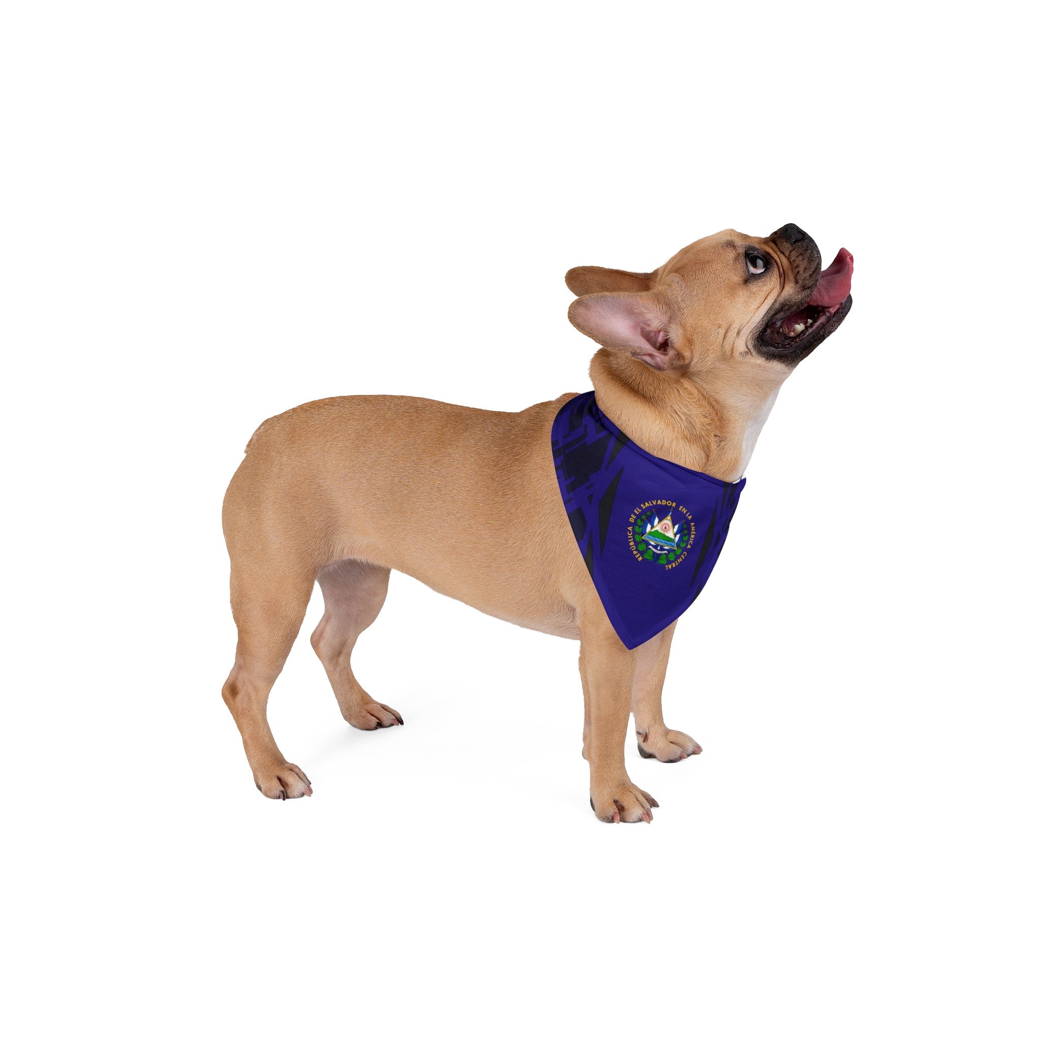 El Salvador Flag Pet Bandana — Navy Soccer-Inspired Dog Bandana