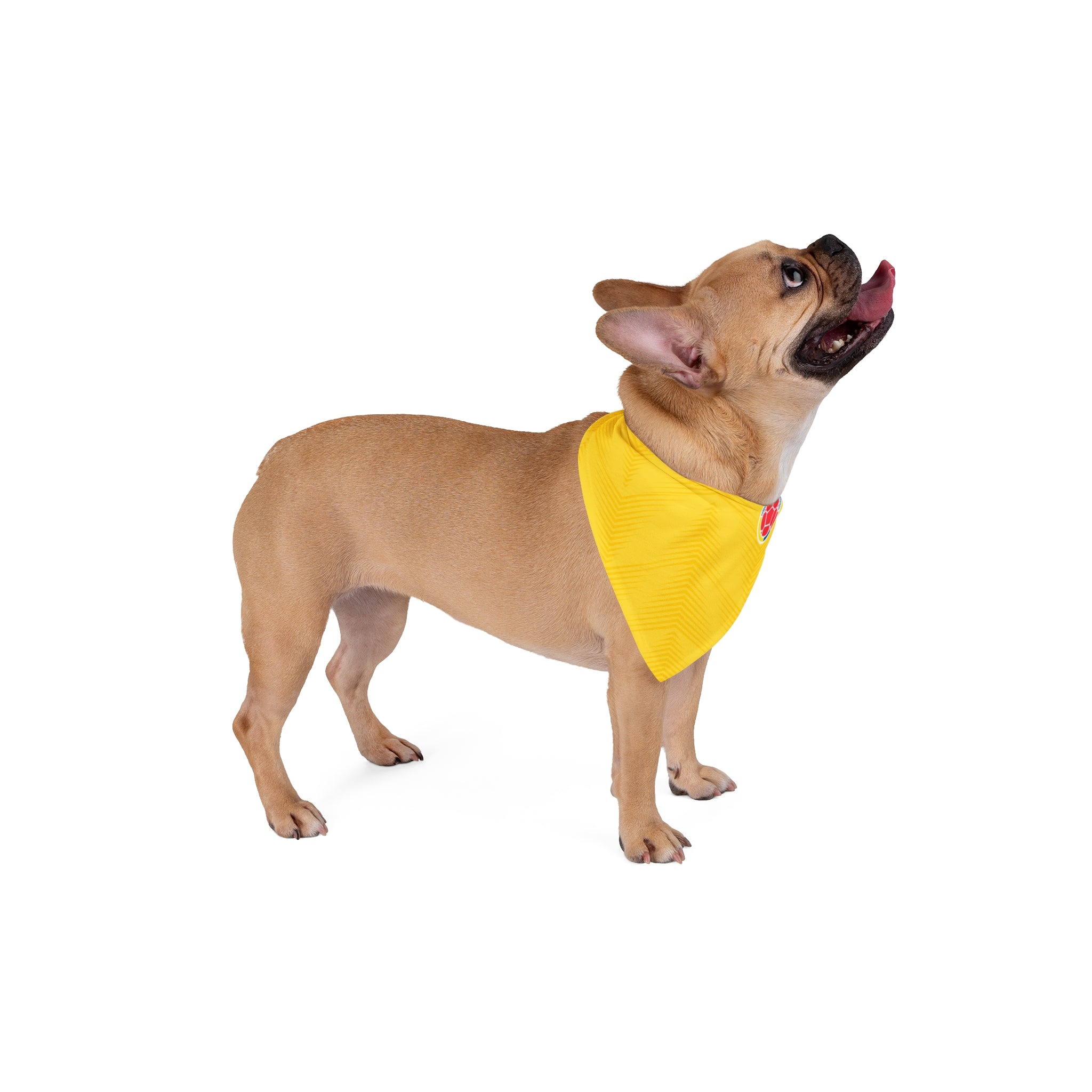 Colombia Soccer Pet Bandana — Yellow Dog/Cat Scarf with Football Emblem