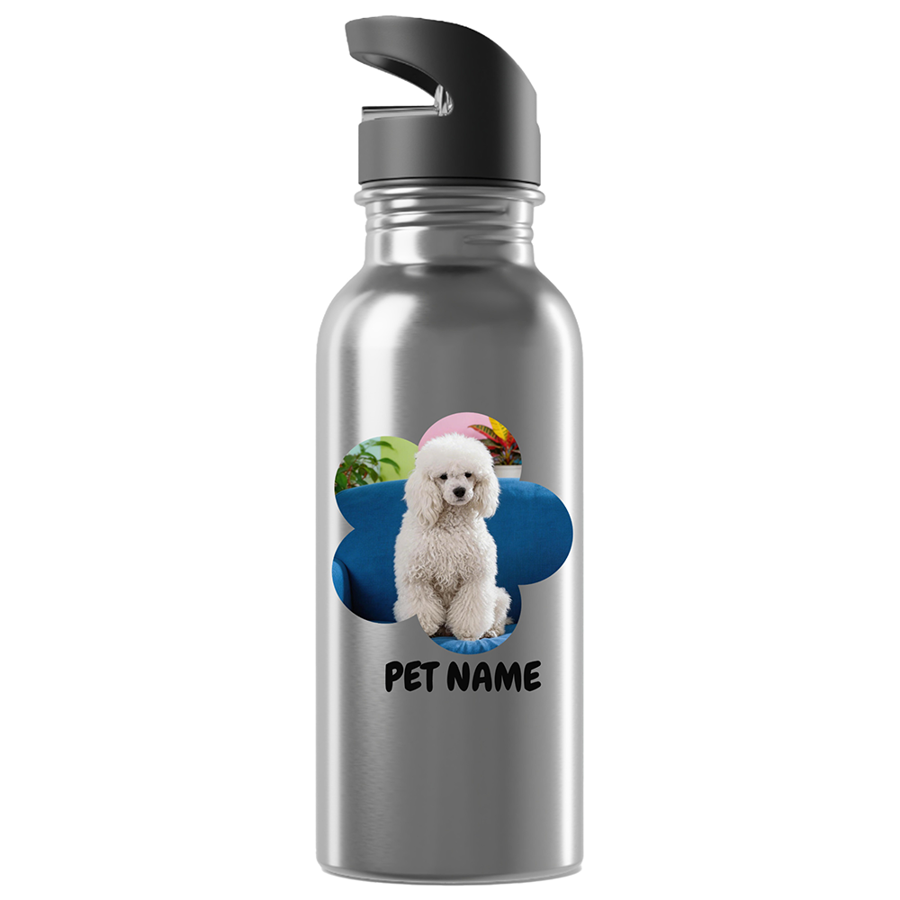 20 oz Stainless Steel Water Bottle with Straw — Blue Planet Travel Bottle