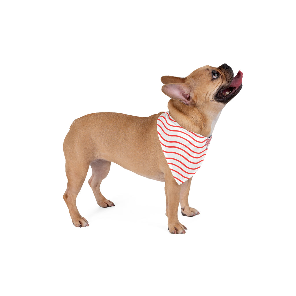 USA Soccer Pet Bandana — Patriotic Dog/Cat Scarf