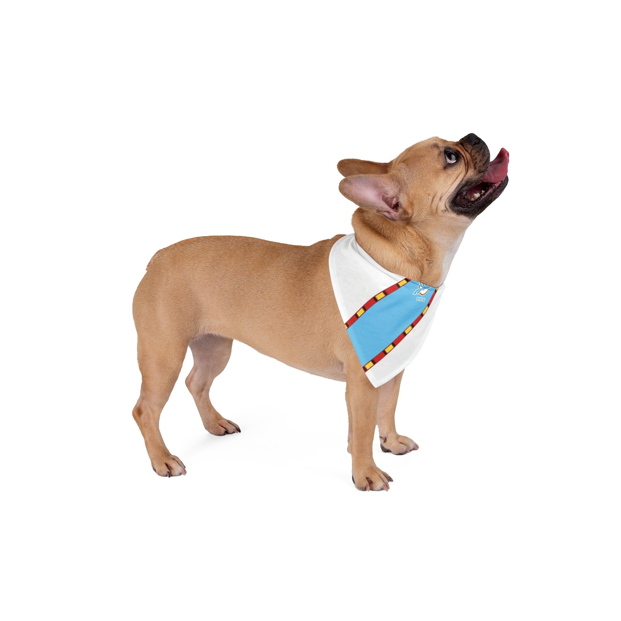 Guatemalan Soccer Pet Bandana — Colorful Guatemala Flag-Inspired Soccer Scarf for Dogs & Cats