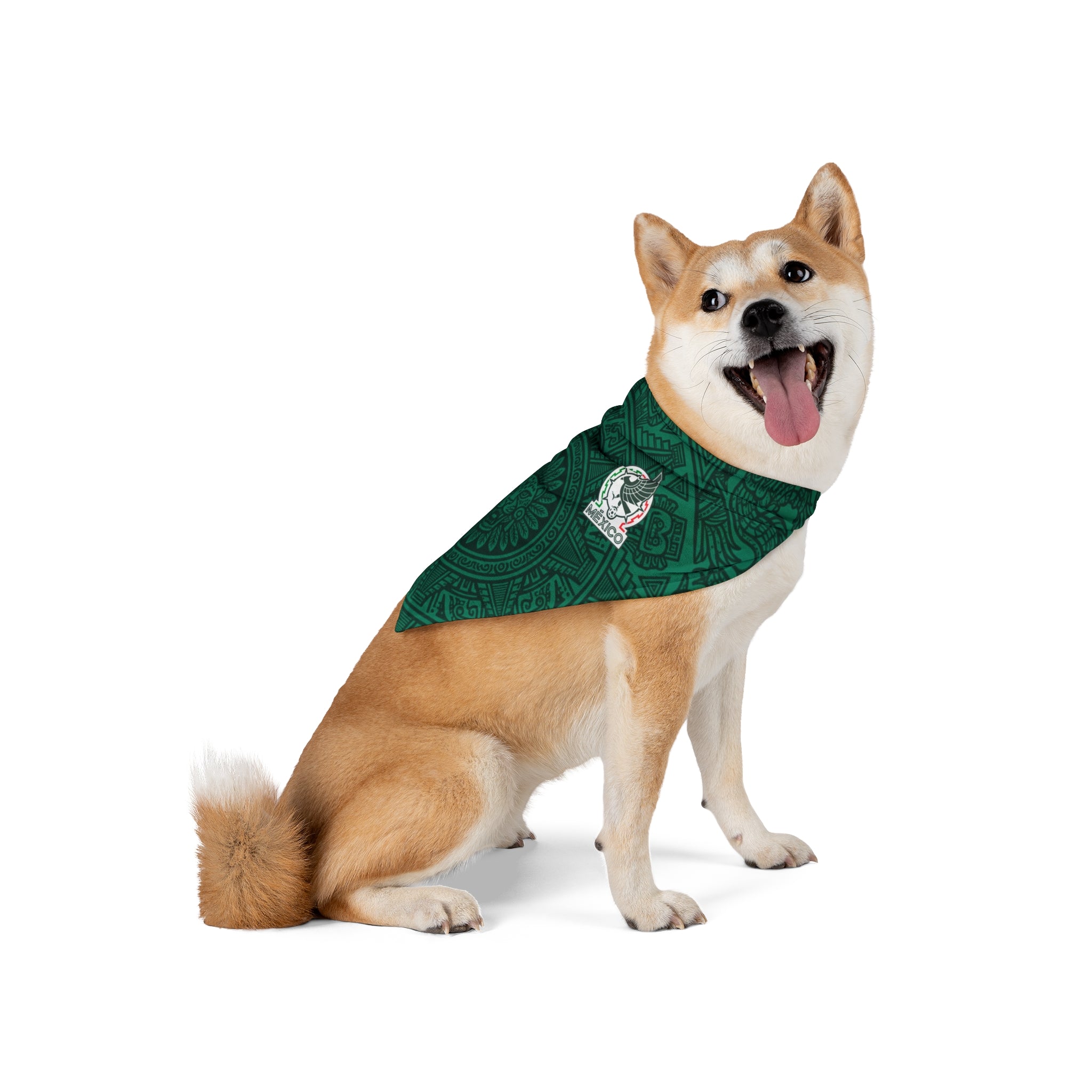 Dog wearing a green patterned bandana on a white background